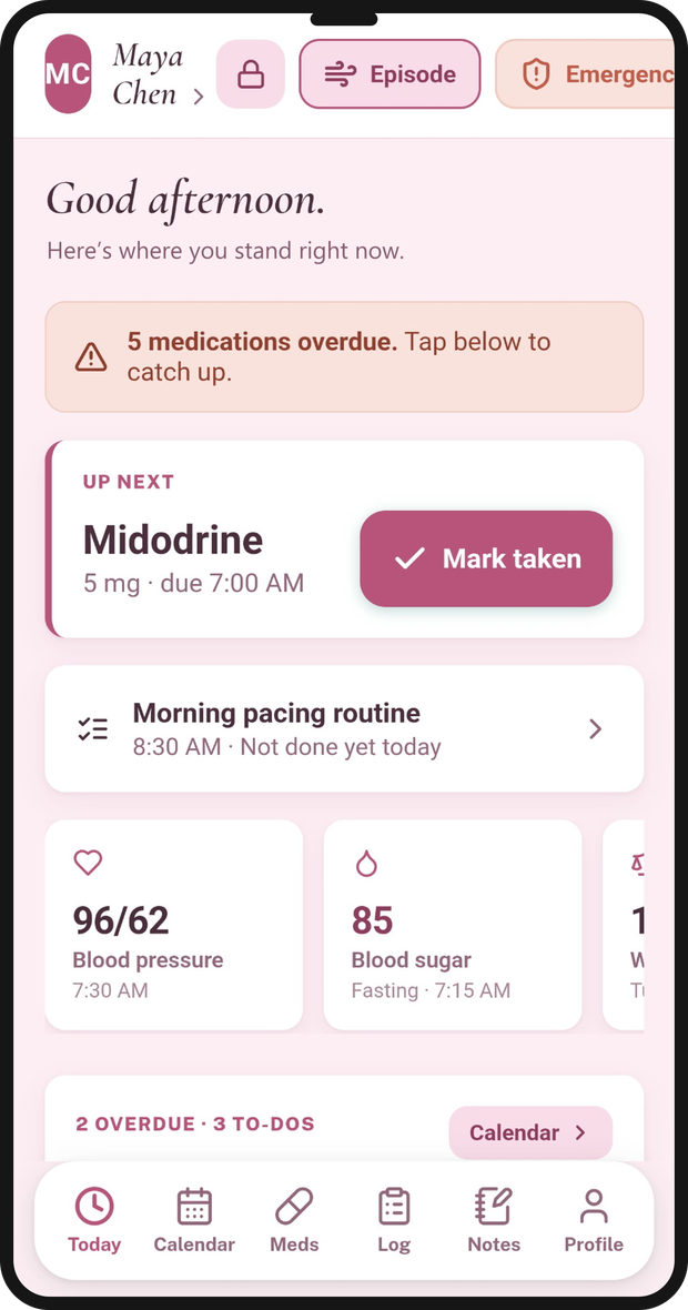 The Today screen showing allergy flags, medications due, and current vitals